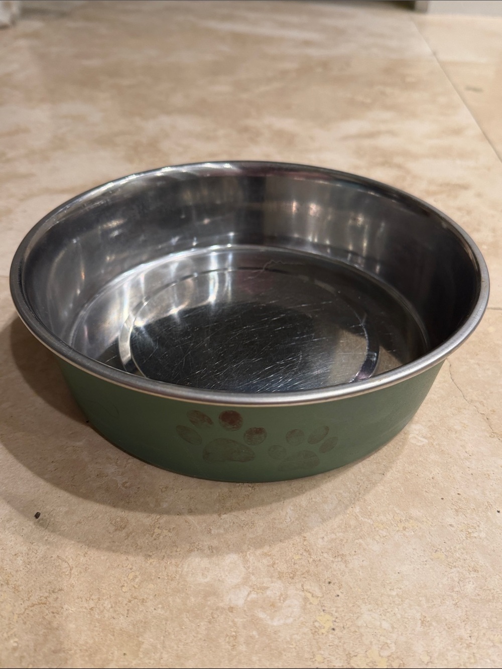 Stainless Steel Dog Bowl with Green Paw Print
